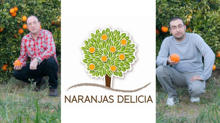 Naranjas Delicia - IP | Hablemos de Marketing
