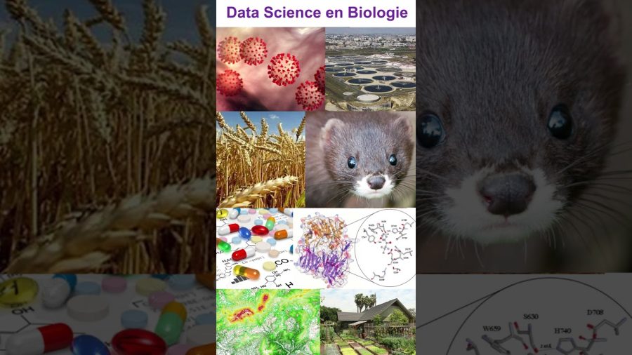 Data-science-Ciencia-de-datos | Hablemos de Marketing