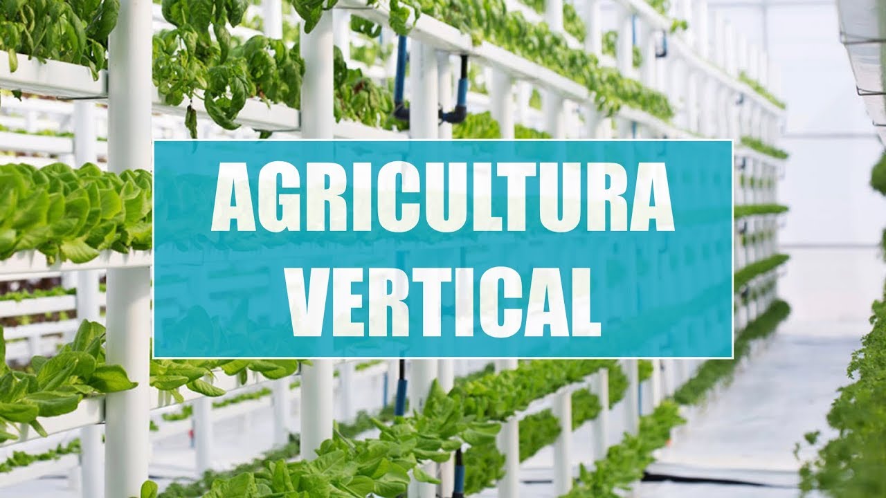 Marketing-de-Contenidos-en-la-Agricultura-Vertical-Cosechas-Innovadoras | Hablemos de Marketing