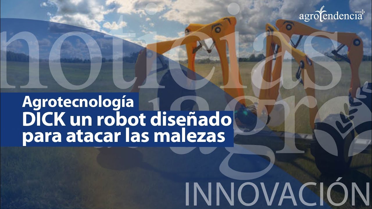 Emprendedores-y-la-Revolucion-de-la-Robotica-Aplicaciones-en-Startups | Hablemos de Marketing