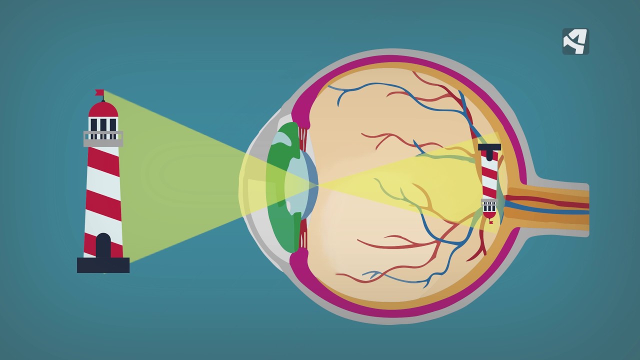 Sorprendiendo-al-Ojo-Elementos-Visuales-que-Captan-la-Atencion | Hablemos de Marketing