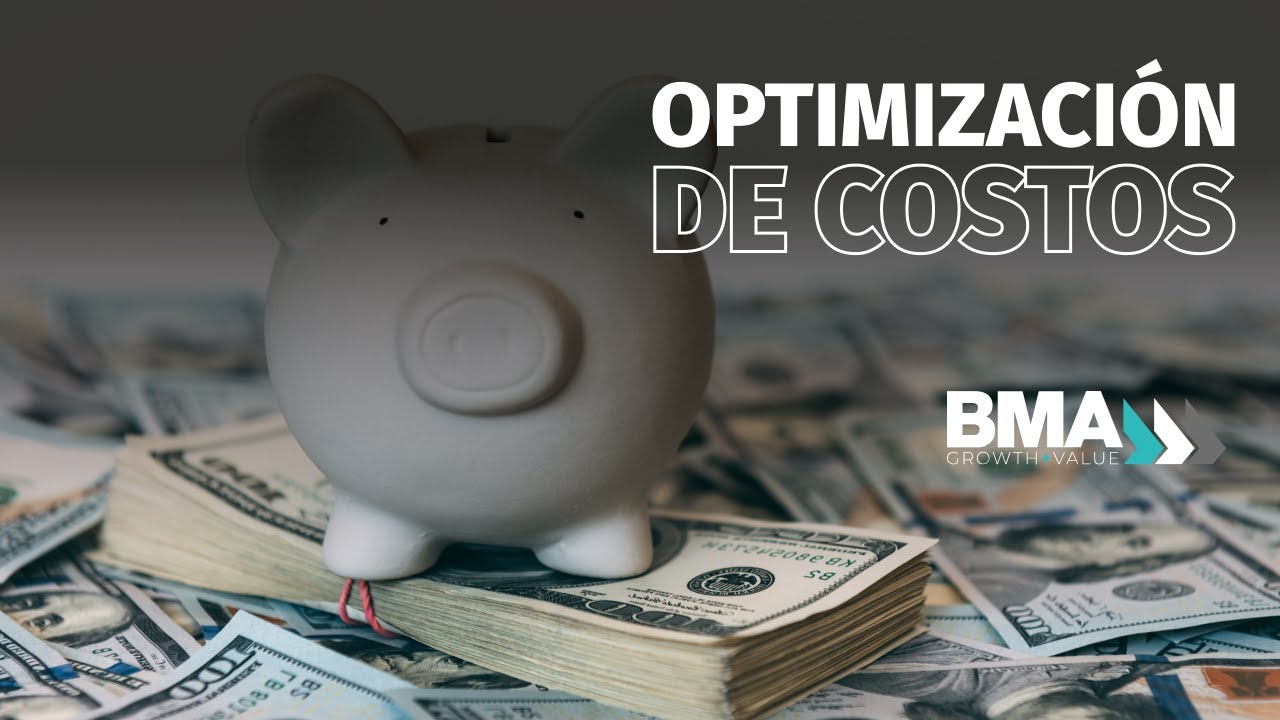 Estrategias para la Optimización de la Estructura de Costos