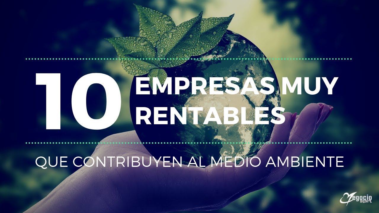 Cómo crear un modelo de negocio basado en la sostenibilidad y el medio ambiente