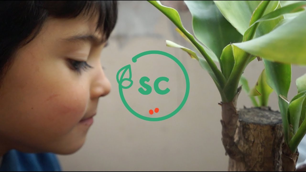 Estrategias de comunicación para empresas del sector agricultura: Sembrando confianza y sostenibilidad