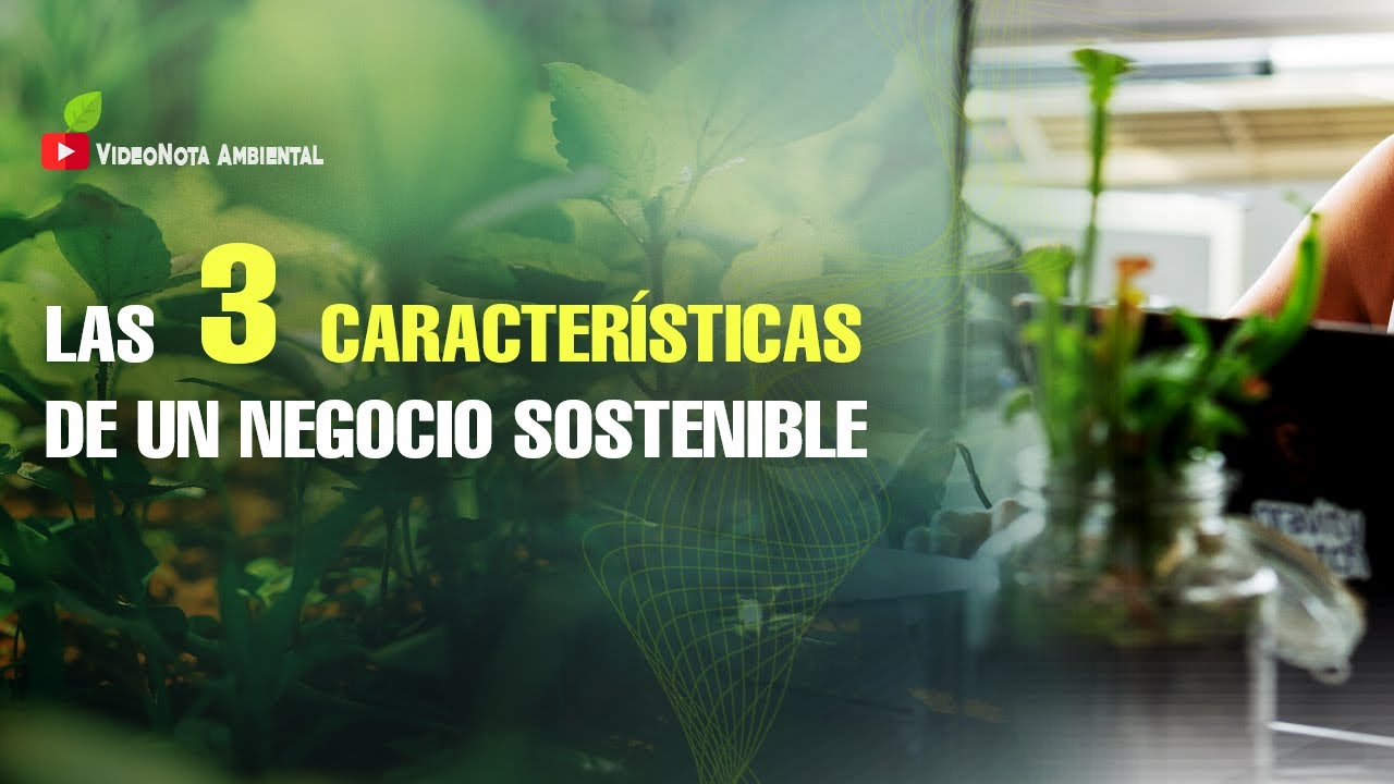 Modelos-de-negocio-en-el-sector-del-diseno-de-interiores-sostenibles-oportunidades-y-desafios | Hablemos de Marketing Modelos de negocio en el sector del diseño de interiores sostenibles: oportunidades y desafíos