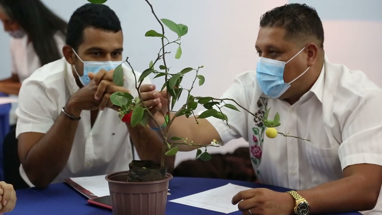 Incubadoras innovaciones en