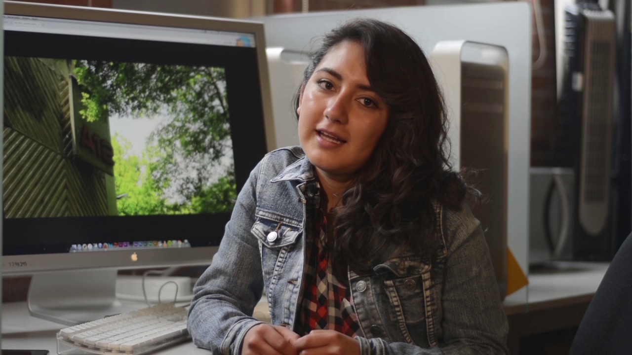 Cómo enfrentar la desinformación en la era de las redes sociales