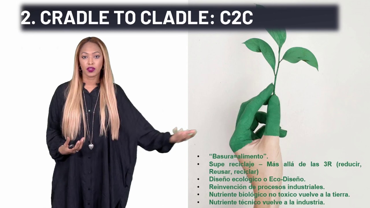 Como-crear-un-modelo-de-negocio-centrado-en-la-sostenibilidad-y-la-innovacion | Hablemos de Marketing Cómo crear un modelo de negocio centrado en la sostenibilidad y la innovación