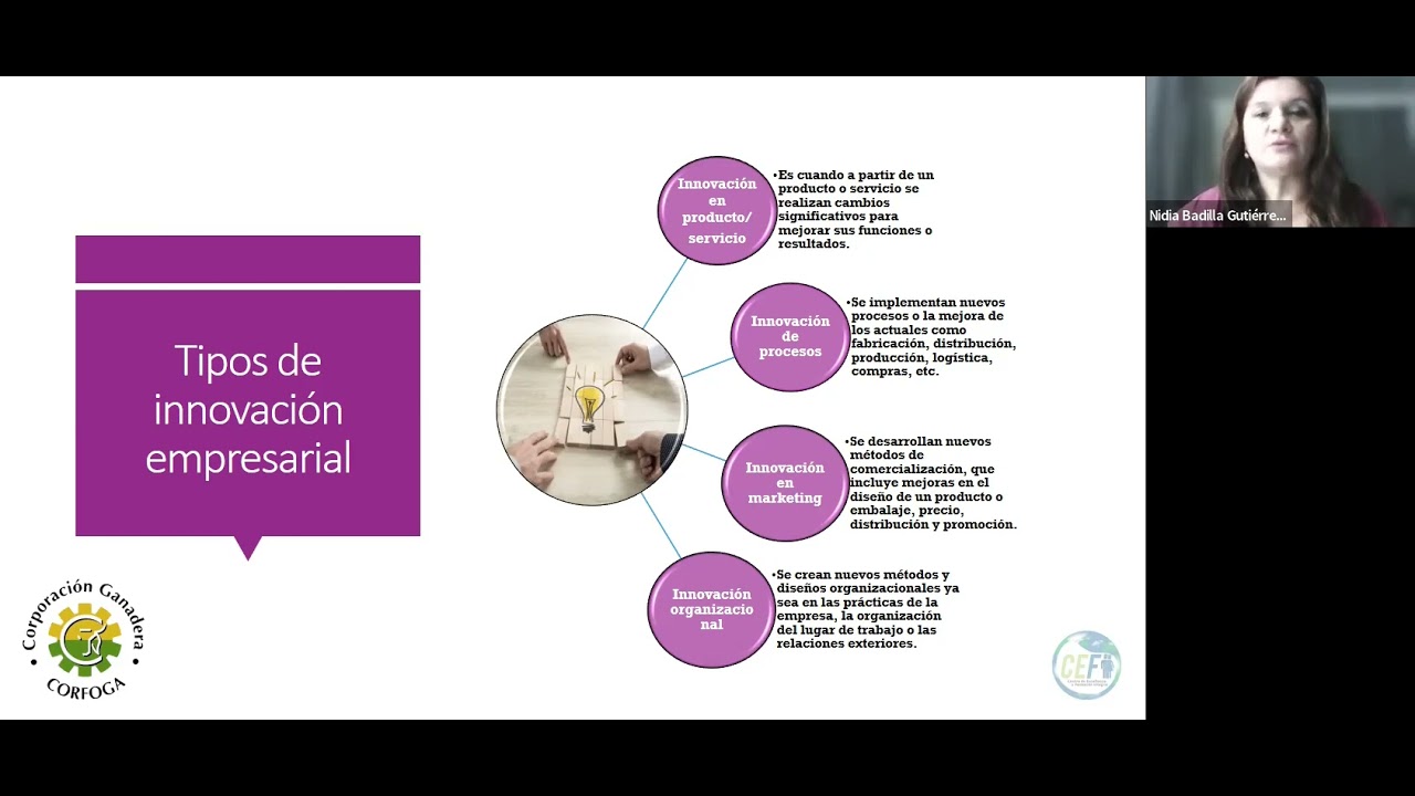 Innovacion-empresarial-para-expertos | Hablemos de Marketing Innovación empresarial para expertos