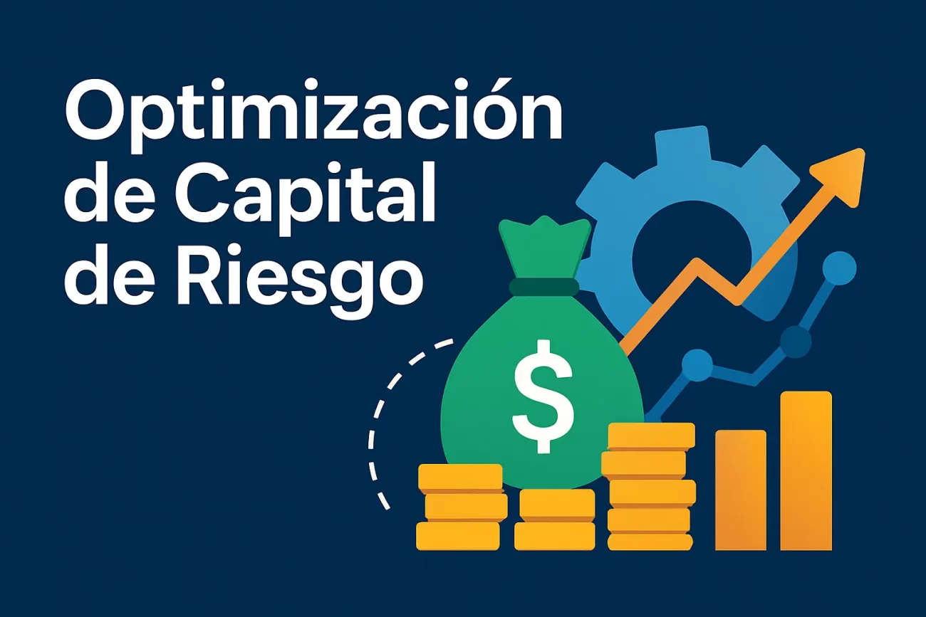 Capital de riesgo optimización de