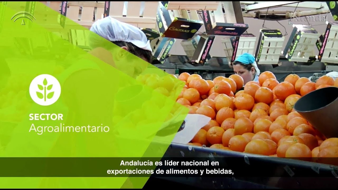 empresas líderes en su sector en España Marcas de alimentación y bebidas en España